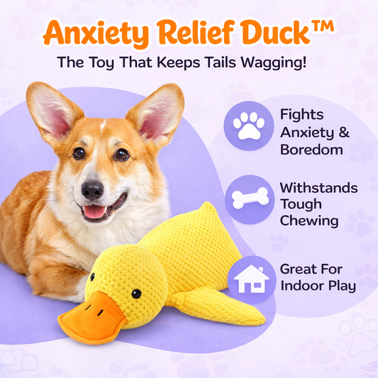 Anxiety Relief Duck™