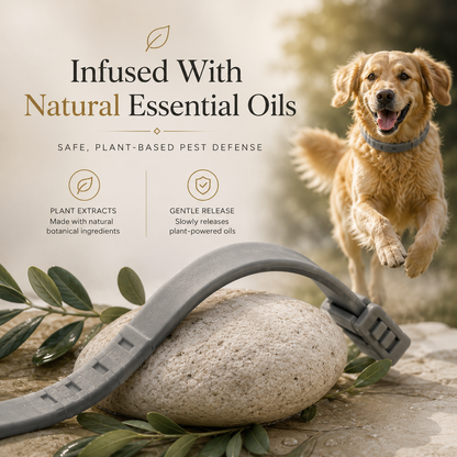PawShield™ Natural Pest Repellent Collar